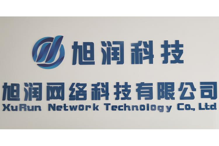 網(wǎng)絡(luò)技術(shù)服務(wù)的多維探索 從開發(fā)到推廣的完整生態(tài)